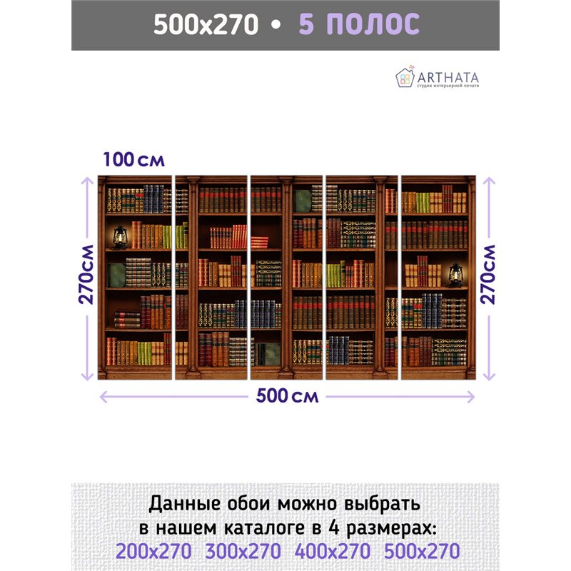 Фотообои книжные полки 500х270 см интерьерные
