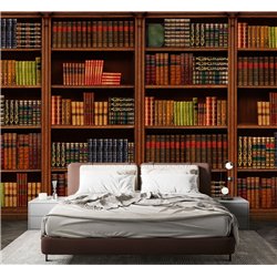 Фотообои книжные полки 500х270 см интерьерные
