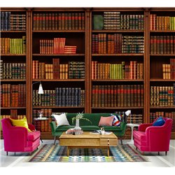 Фотообои книжные полки 500х270 см интерьерные