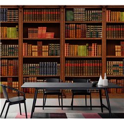 Фотообои книжные полки 500х270 см интерьерные