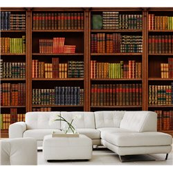 Фотообои книжные полки 500х270 см интерьерные