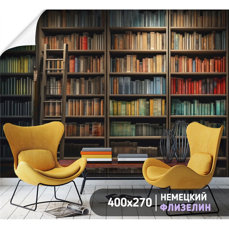 Фотообои книжные полки 400х270 см интерьерные