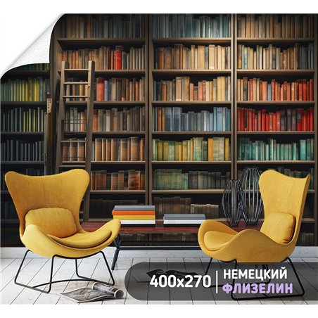 Фотообои книжные полки 400х270 см интерьерные