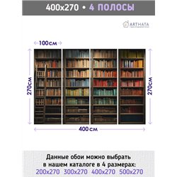 Фотообои книжные полки 400х270 см интерьерные