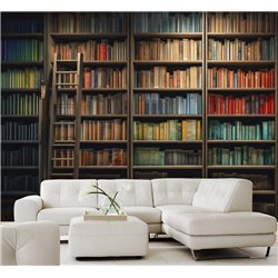 Фотообои книжные полки 400х270 см интерьерные