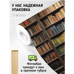 Фотообои книжные полки 400х270 см интерьерные