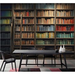 Фотообои книжные полки 400х270 см интерьерные