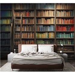 Фотообои книжные полки 400х270 см интерьерные
