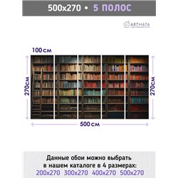 Фотообои книжные полки 500х270 см флизелиновые с виниловым покрытием