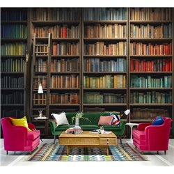 Фотообои книжные полки 500х270 см флизелиновые с виниловым покрытием