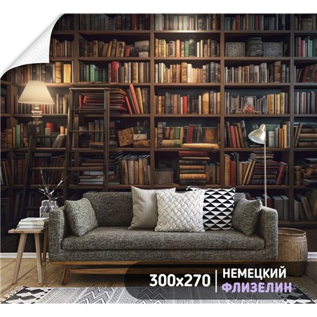 Фотообои книжные полки 300х270 см для коридора
