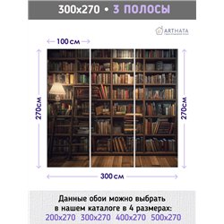 Фотообои книжные полки 300х270 см для коридора