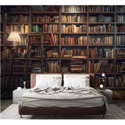 Фотообои книжные полки 300х270 см для коридора