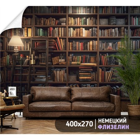 Фотообои книжные полки 400х270 см для декорирования стен в зале