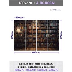 Фотообои книжные полки 400х270 см для декорирования стен в зале