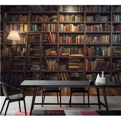 Фотообои книжные полки 400х270 см для декорирования стен в зале