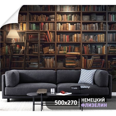 Фотообои книжные полки 500х270 см для оформления стен в гостиной