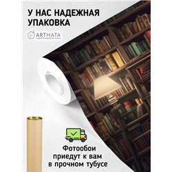 Фотообои книжные полки 500х270 см для оформления стен в гостиной