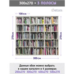 Фотообои белые книжные полки 300х270 см интерьерные