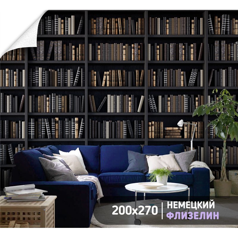 Фотообои черные книжные полки 200х270 см для коридора