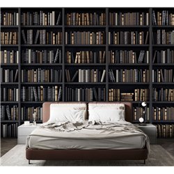 Фотообои черные книжные полки 200х270 см для коридора