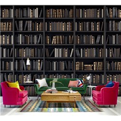 Фотообои черные книжные полки 200х270 см для коридора