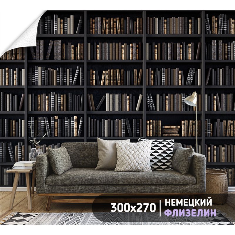 Фотообои черные книжные полки 300х270 см для декорирования стен в зале