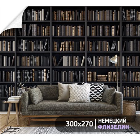 Фотообои черные книжные полки 300х270 см для декорирования стен в зале