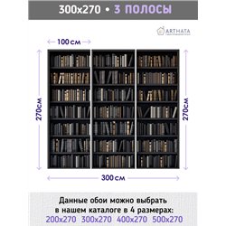 Фотообои черные книжные полки 300х270 см для декорирования стен в зале
