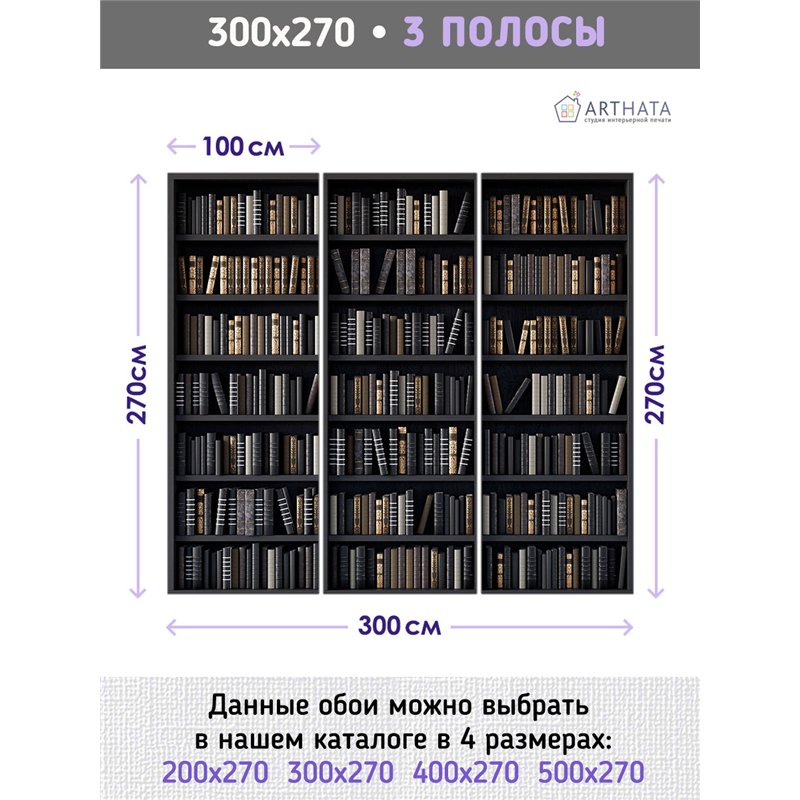 Фотообои черные книжные полки 300х270 см для декорирования стен в зале