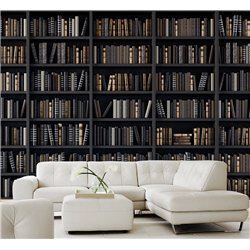 Фотообои черные книжные полки 300х270 см для декорирования стен в зале