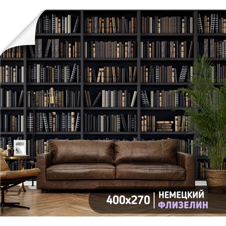 Фотообои черные книжные полки 400х270 см для оформления стен в гостиной