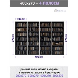 Фотообои черные книжные полки 400х270 см для оформления стен в гостиной