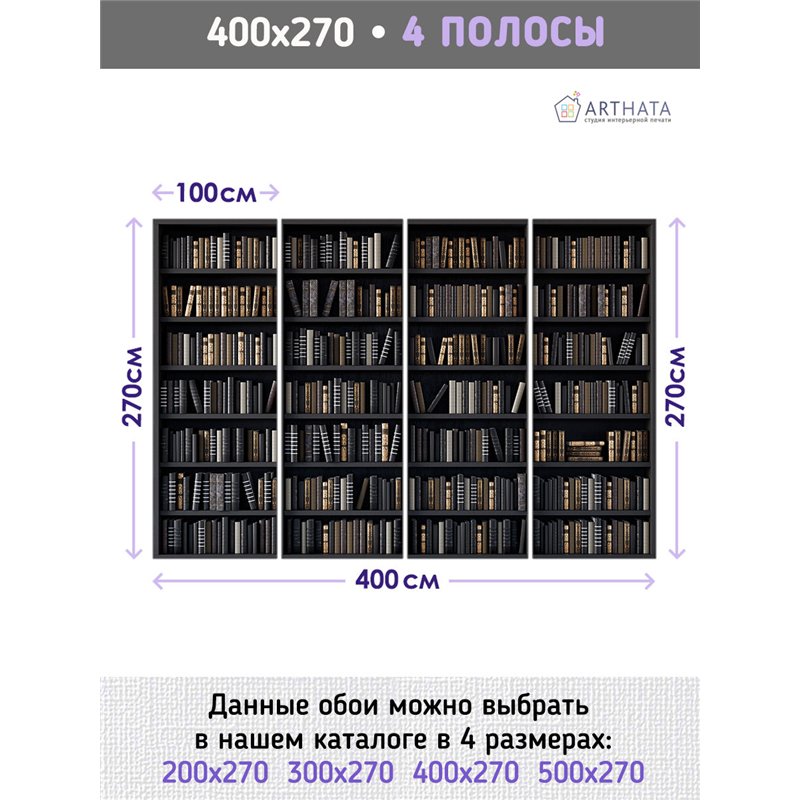 Фотообои черные книжные полки 400х270 см для оформления стен в гостиной