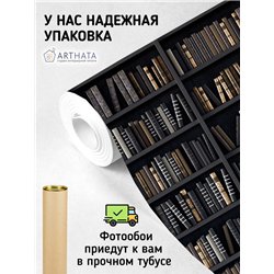 Фотообои черные книжные полки 400х270 см для оформления стен в гостиной