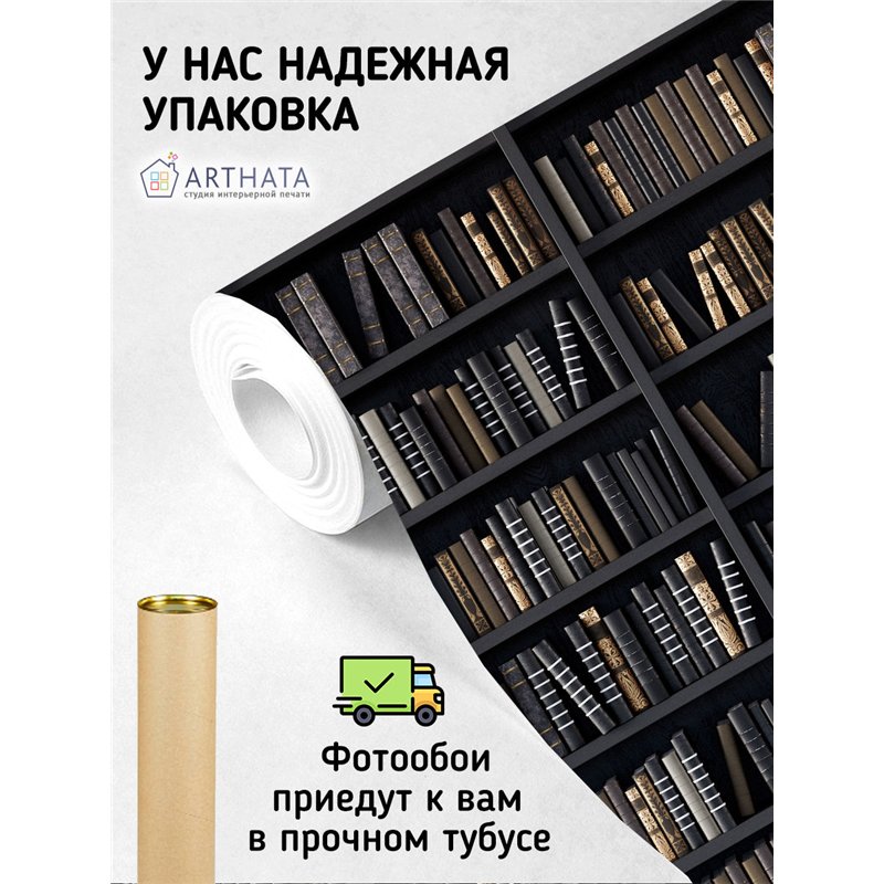 Фотообои черные книжные полки 400х270 см для оформления стен в гостиной