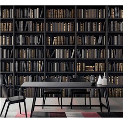 Фотообои черные книжные полки 400х270 см для оформления стен в гостиной