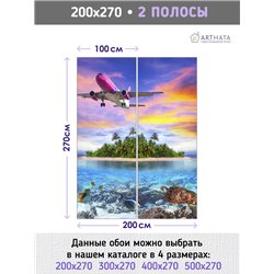 Фотообои Розовый самолет на закате 200х270 см интерьерные