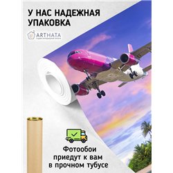 Фотообои Розовый самолет на закате 200х270 см интерьерные