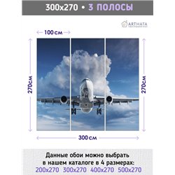 Фотообои Самолет в голубом небе 300х270 см для оформления стен в гостиной