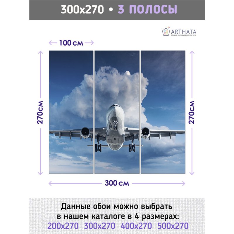 Фотообои Самолет в голубом небе 300х270 см для оформления стен в гостиной