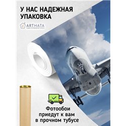 Фотообои Самолет в голубом небе 300х270 см для оформления стен в гостиной