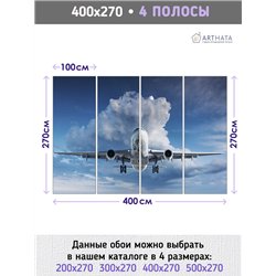 Фотообои Самолет в голубом небе 400х270 см моющиеся