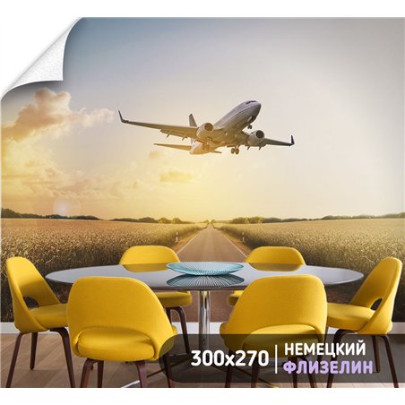 Фотообои Самолет на рассвете 300х270 см для спальни