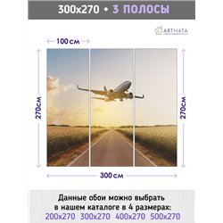 Фотообои Самолет на рассвете 300х270 см для спальни