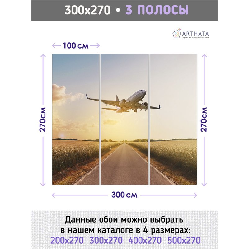 Фотообои Самолет на рассвете 300х270 см для спальни