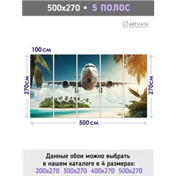 Фотообои Самолет в тропиках 500х270 см флизелиновые с виниловым покрытием