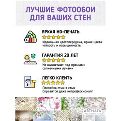 Фотообои Лыжный спорт 400х270 см для декорирования стен в зале