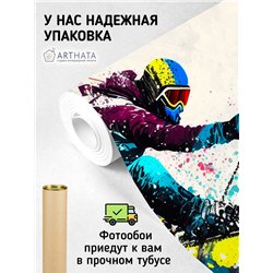 Фотообои Лыжный спорт 400х270 см для декорирования стен в зале