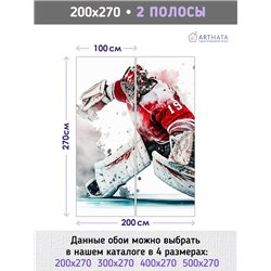 Фотообои Спортивные игры - хоккейк 200х270 см моющиеся